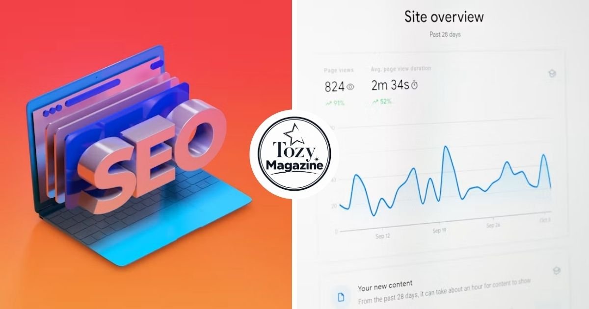 SEO by Highsoftware99.com